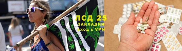 PSILOCYBIN Елизово
