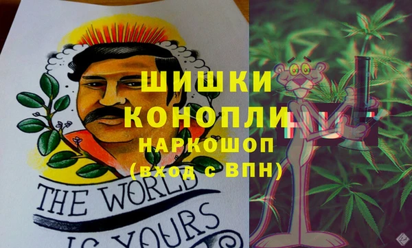 прущая мука Ельня