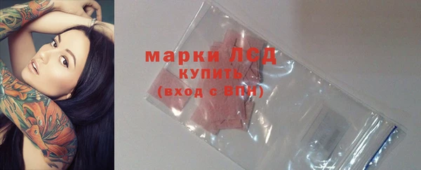 дурь Гусиноозёрск