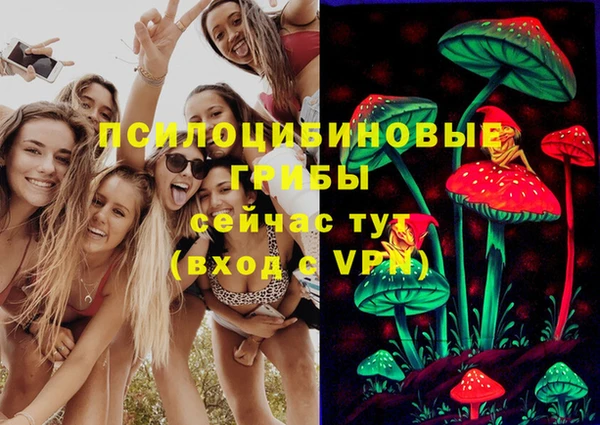 прущая мука Ельня