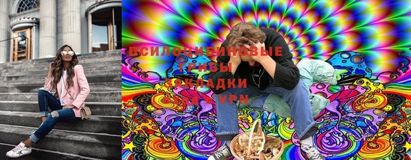 ГАЛЛЮЦИНОГЕННЫЕ ГРИБЫ Заводоуковск