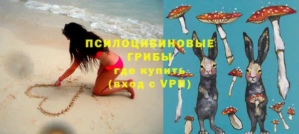 прущая мука Ельня