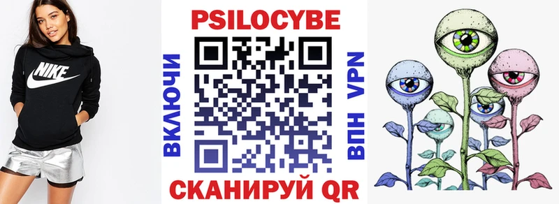 Псилоцибиновые грибы GOLDEN TEACHER  Купить где  Тайга 